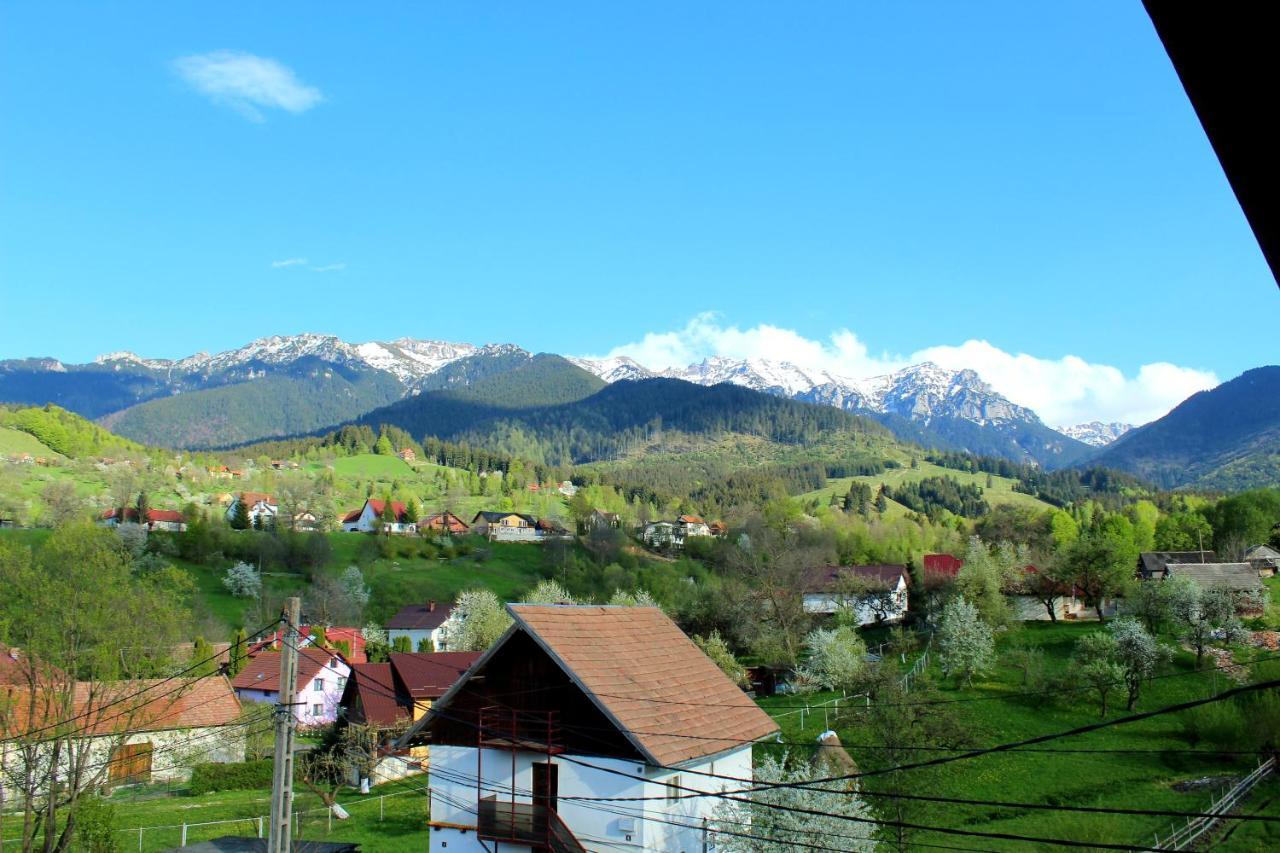 Milea'S Guesthouse Bran  Exteriér fotografie