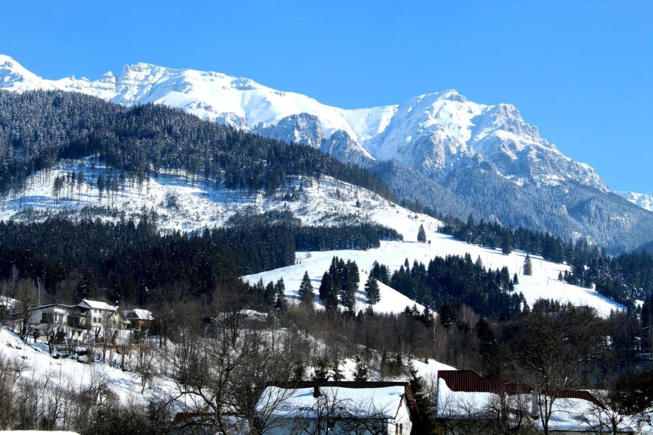 Milea'S Guesthouse Bran  Exteriér fotografie