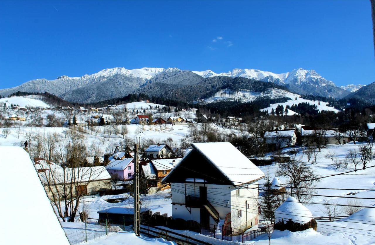 Milea'S Guesthouse Bran  Exteriér fotografie
